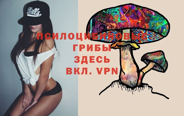 крисы Алексеевка